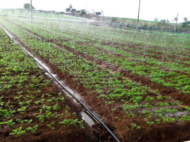 手持農業環境檢測儀操作簡單、性能可靠 手持農業環境檢測儀操作簡單、性能可靠