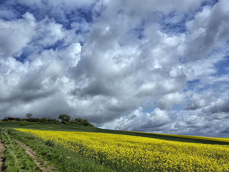 手持農業環境檢測儀可觀測哪些氣象要素