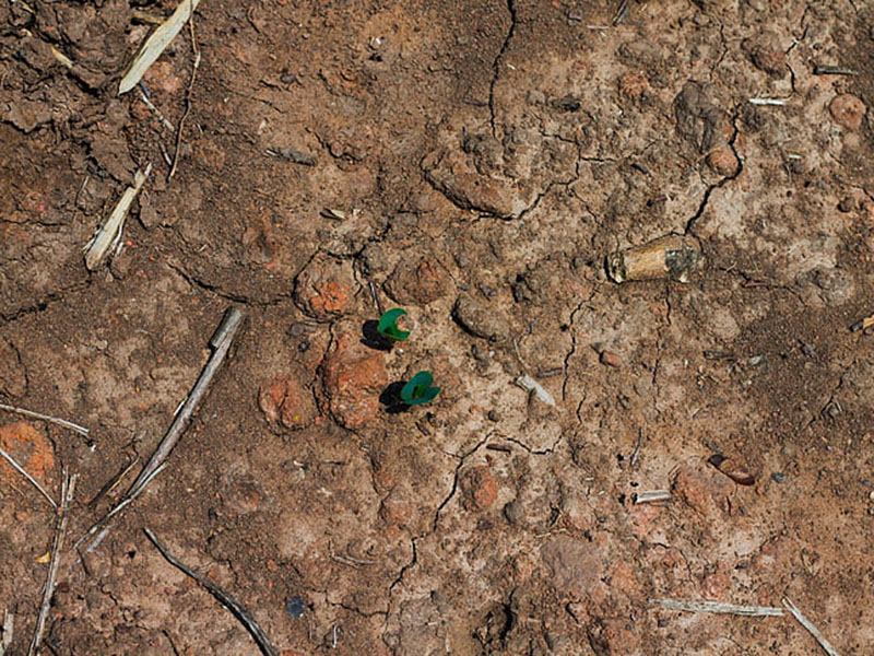 土壤氮磷鉀檢測(cè)儀為農(nóng)戶解決施肥問(wèn)題 土壤氮磷鉀檢測(cè)儀為農(nóng)戶解決施肥問(wèn)題