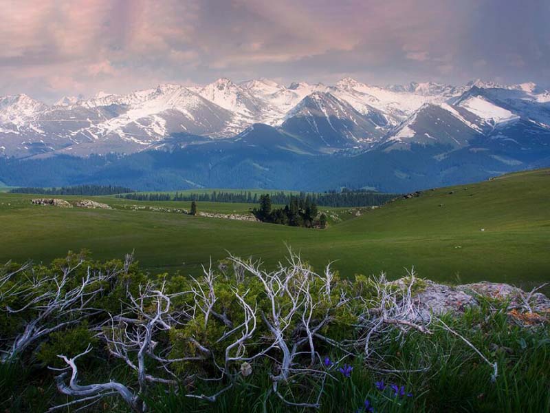 土壤肥料養(yǎng)分檢測儀在作物施肥中的作用 土壤肥料養(yǎng)分檢測儀在作物施肥中的作用