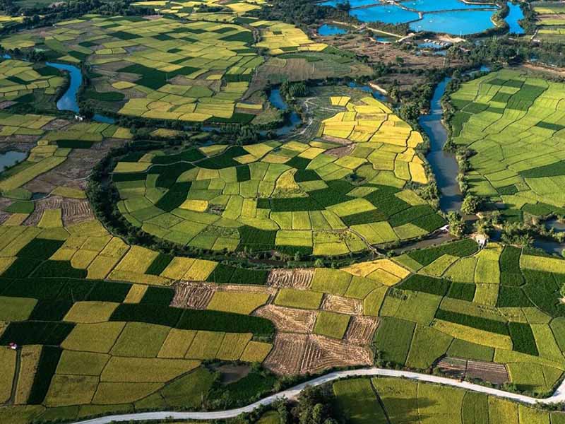 土壤養(yǎng)分檢測(cè)儀選購(gòu)的建議