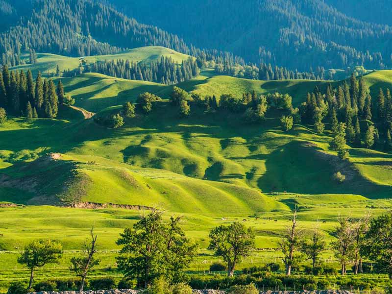 【匯總】土壤檢測儀器類型有哪些？