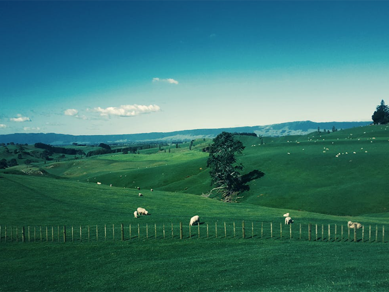 高智能土壤肥料養(yǎng)分檢測儀使用步驟