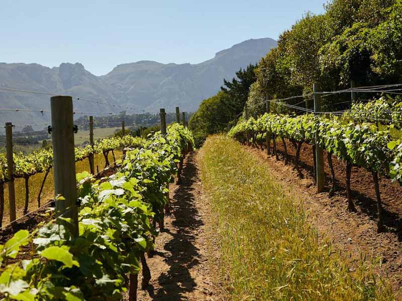 土壤氧化還原電位儀正確操作步驟