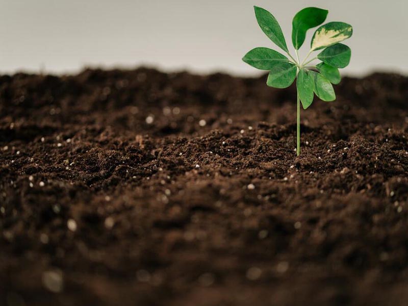 土壤氮磷鉀檢測的意義