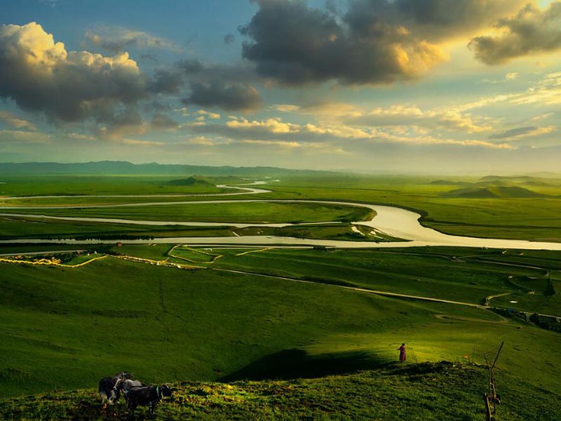 不同土壤檢測(cè)儀的適配場(chǎng)景（土壤檢測(cè)儀類型）