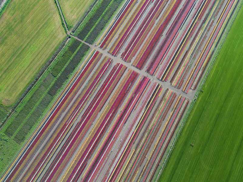 土壤氮磷鉀檢測儀準確嗎