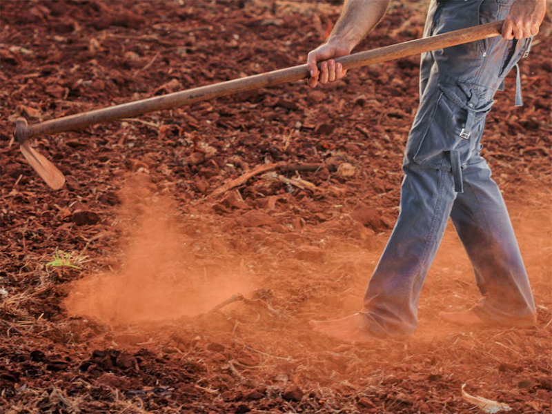 土壤有機質(zhì)檢測儀原理