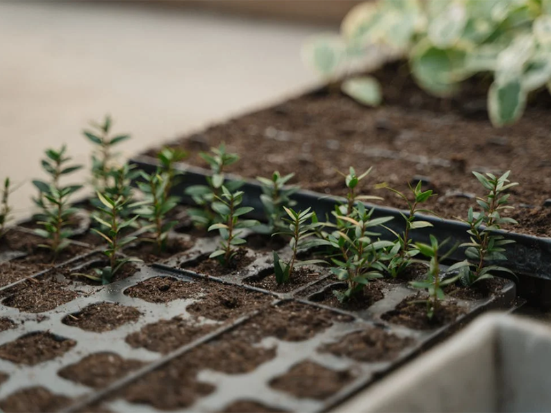 土壤重金屬檢測儀基本工作原理