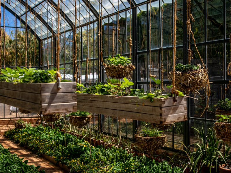 土壤微量元素有哪些