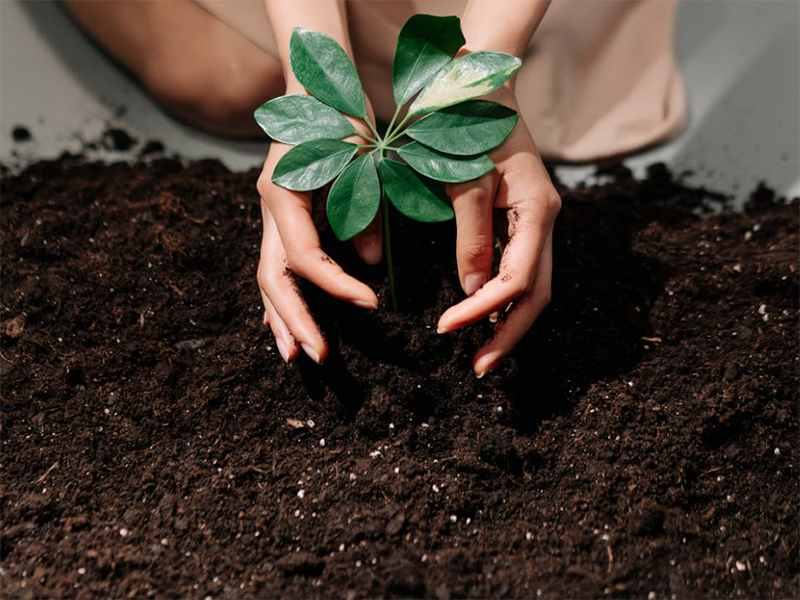 土壤電導率檢測儀功能特點