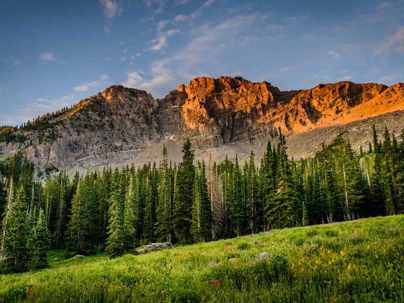 便攜式土壤檢測(cè)儀推介