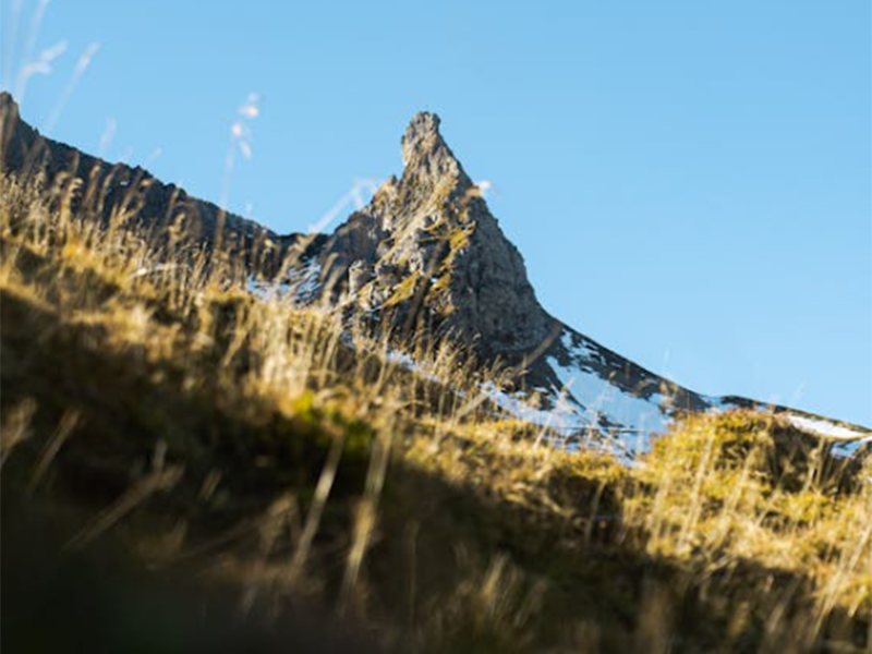 土壤堅實度指的是什么