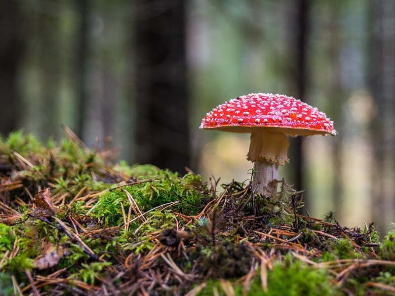 土壤氧化還原電位儀好用嗎