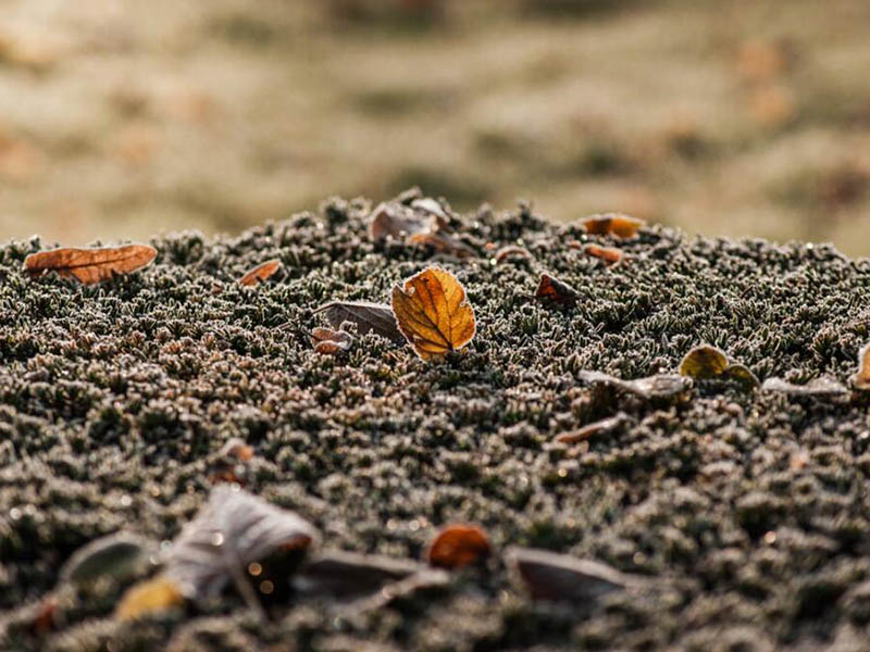 土壤水分與土壤濕度的區(qū)別