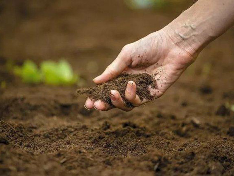 用土壤肥料養(yǎng)分快速測定儀測定土壤養(yǎng)分 14.jpg