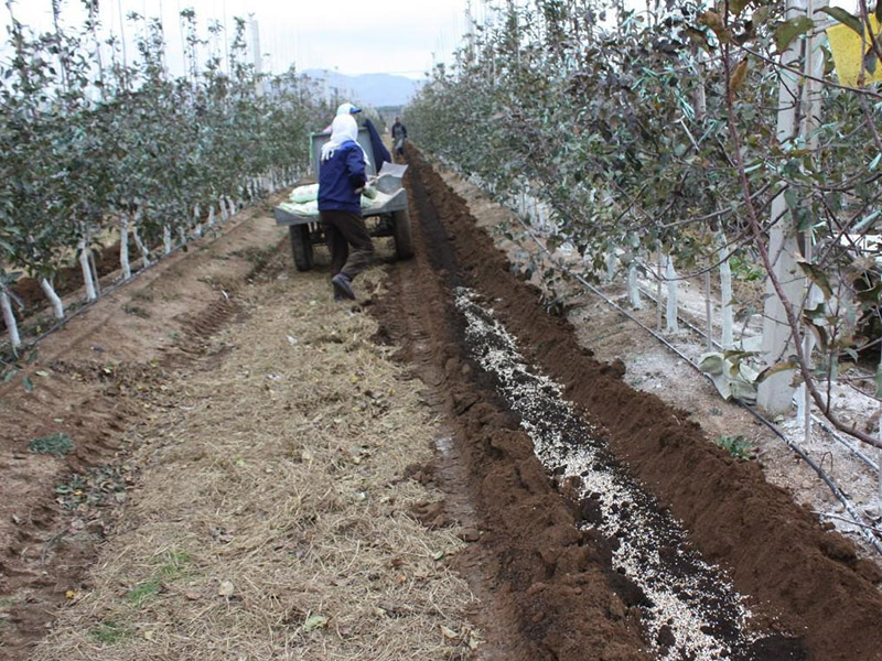 測土配方施肥儀助力農(nóng)業(yè)生產(chǎn) 12.jpg