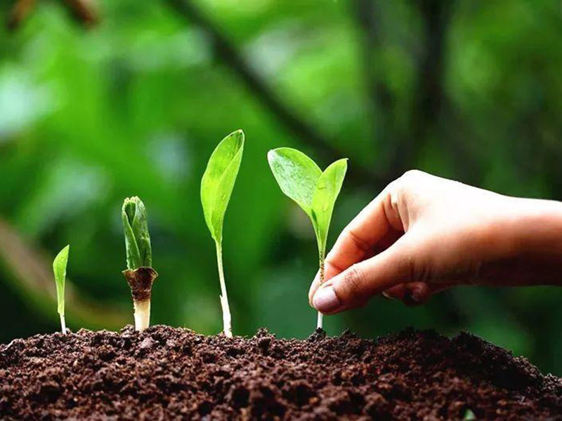 什么是土壤PH速測(cè)儀 12.jpg